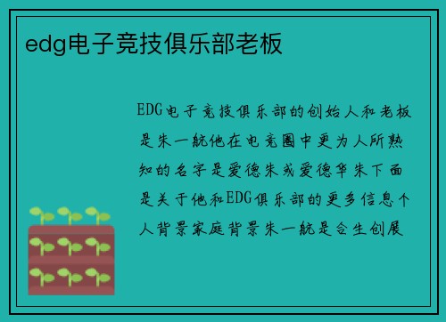 edg电子竞技俱乐部老板