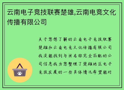 云南电子竞技联赛楚雄,云南电竞文化传播有限公司